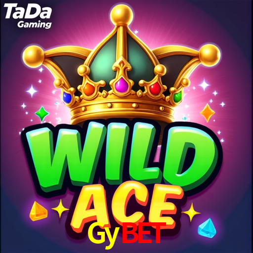 Premium Interface Gybet